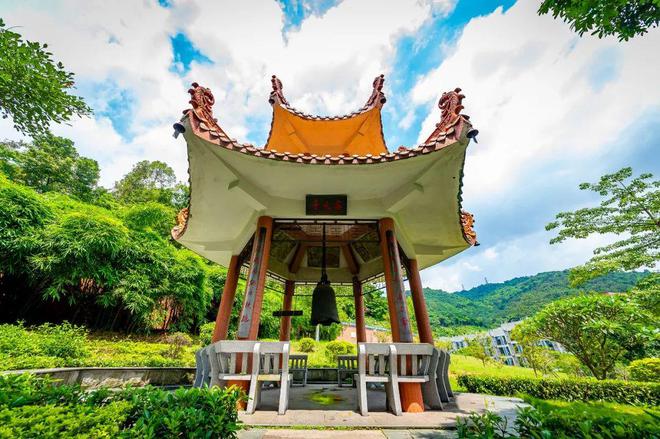 特长生相关谈球吧问题合集(图11)